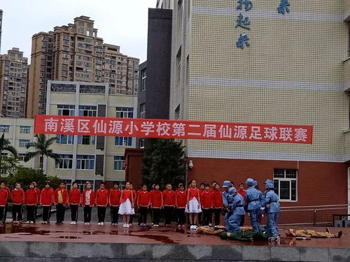 仙源小学 小太阳 中队在实践中 创文