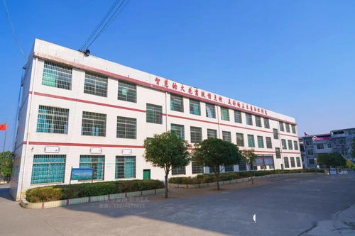 航拍学校系列 东安县井头圩镇中心小学 视频 照片