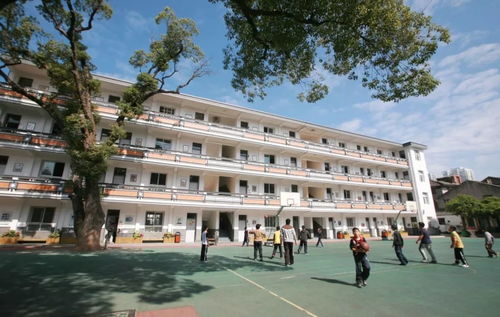 原来,温州人心目中最好的小学是这十所 图
