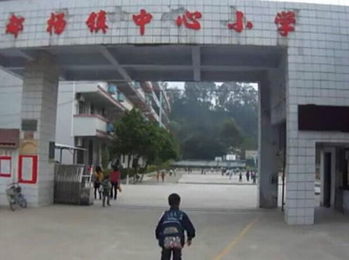 都杨中心小学