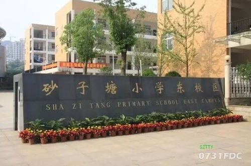 六一儿童节特别推荐 那些家门口就能上学的楼盘