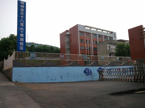 郴州市第三十八完全小学