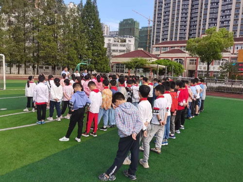 合肥市七里塘小学综合组开展推门听课活动