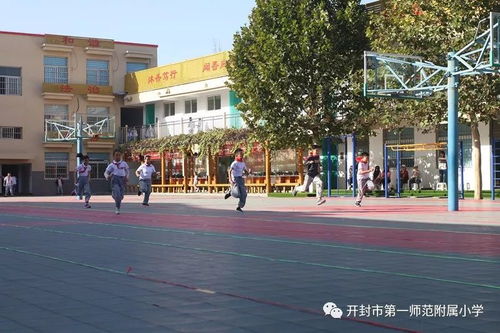 强身心 健体魄,少年强则国强 开封市一师附小2018年学生体质监测