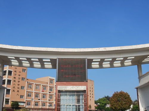 潜山市黄铺中心小学开展爱国卫生月系列活动