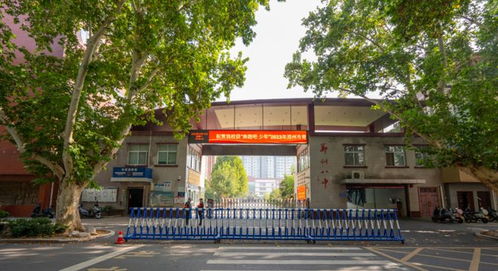 硬核盘点 郑州最强 小 初 双名校学区房哪家强