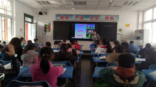 信息技术大练兵,智慧课堂展智慧 七里塘小学第二届美丽课堂暨智慧课堂展示语文组系列报道四
