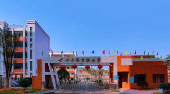 重磅 自建幼儿园就不错了,长沙这些楼盘还自建小学