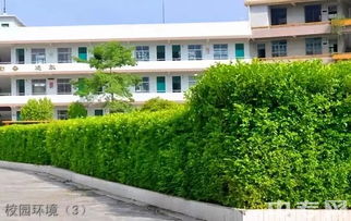 宝鸡幼师学校招生 宝鸡商贸交通学校学前教育