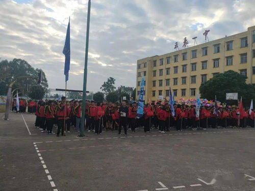 绽放青春，跑出风采——丹阳市横塘中心小学活动侧记