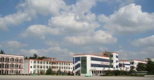 丹阳横塘 从小学教育看一座城市的国际化未来