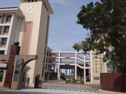 南国玉树与江南横塘 两所小学的教育剪影